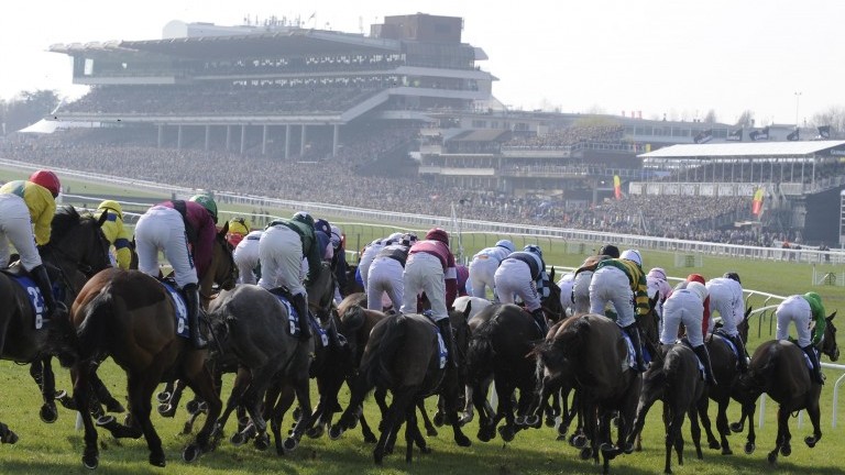 Tackling Cheltenham