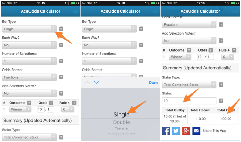 Horse Racing Odds Calculator AceOdds 