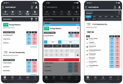 Match book - horse racing exchange bets - how to back and lay