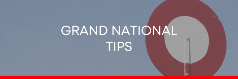 Read more about the article Grand National tips