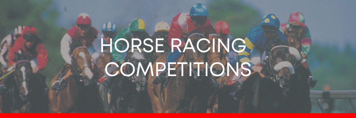 Horse racing betting competitions
