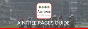 AINTREE RACES GUIDE