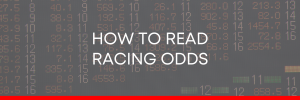 RACING ODDS HEADER