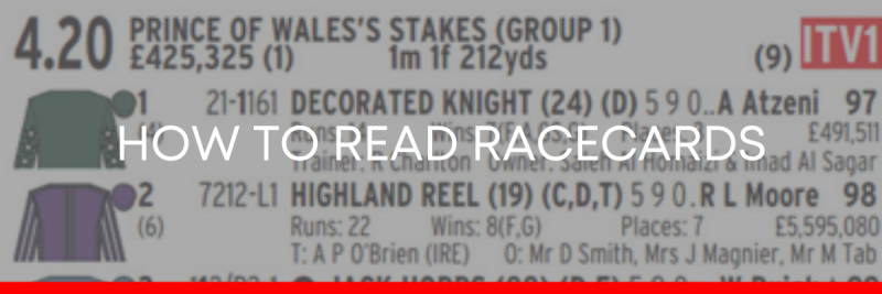 HOW TO READ RACE CARDS GUIDE HEADER