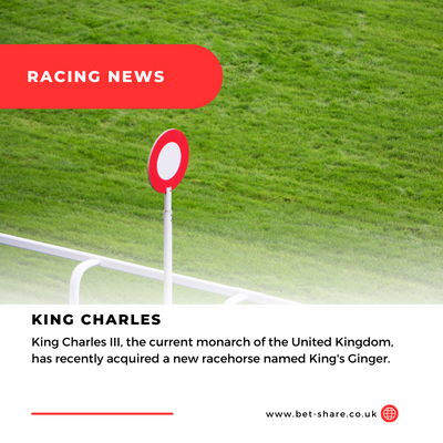 Read more about the article Has King Charles Called His Newest Racehorse After Harry?