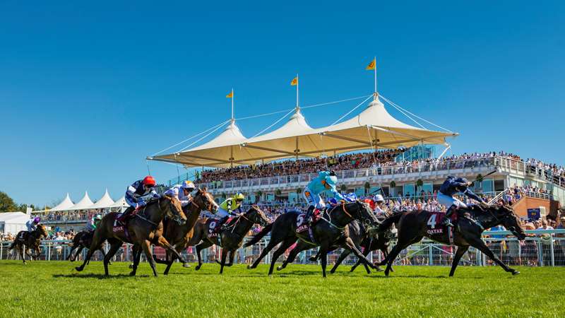Flat sales for racing