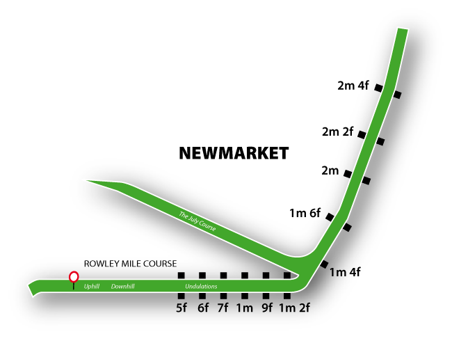 Newmarket track guide