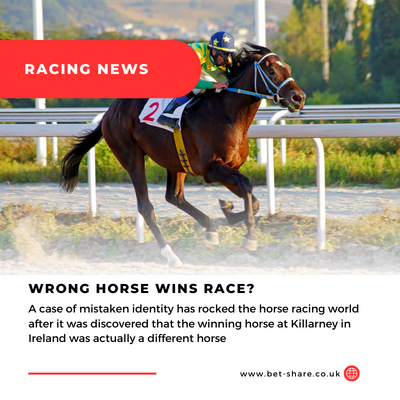 Racing News Header Wrong horse wins race