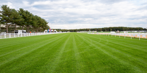Flat horse racing course
