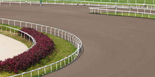 all weather racing course