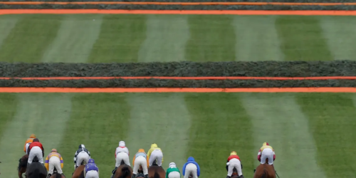 jumps horse racing course