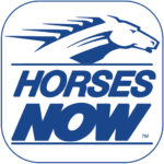 Horses now app icon